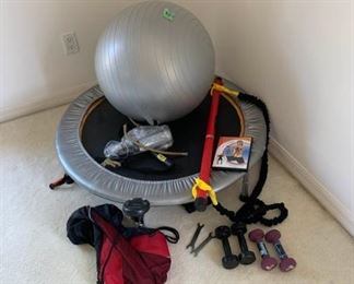Assorted workout equipment https://ctbids.com/#!/description/share/367319