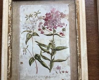 Set of 3- Williamsbury, "The Garden Story Collection", Botanical framed prints.