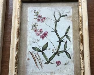 Set of 3- Williamsbury, "The Garden Story Collection", Botanical framed prints.