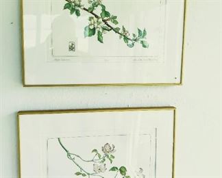 Signed and numbered prints $125 pair