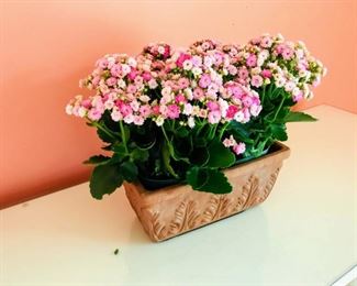 Ceramic faux plant $15