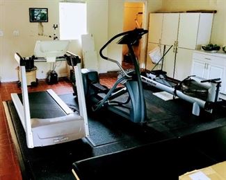 Precor USA Treadmill $750
Precor Rear Drive Elipical Trainer $850
Water Rower $950