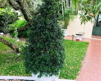 Large Topairy Planter $175