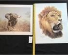 elephantlion prints