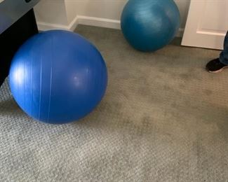 EXERCISE BALLS, LARGE $15 SMALL $10