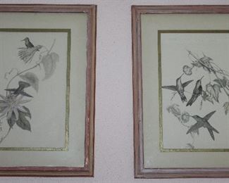 Framed and Matted Botanical Hummingbird Prints (18” x 22”)