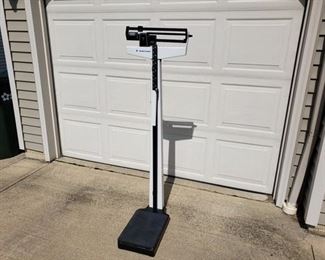 Health o Meter Scale