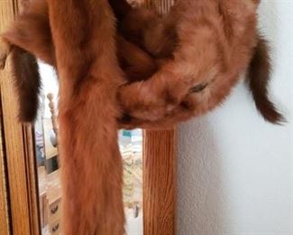 Vintage Fox