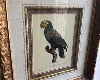 #3
Exotic bird print with beautiful frame
$50.00
