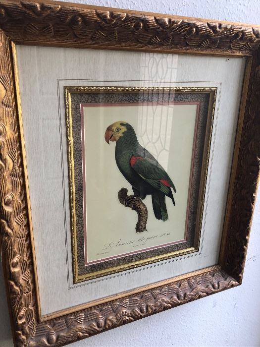 #3
Exotic bird print with beautiful frame
$50.00