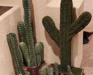 Cactus Galore! https://ctbids.com/#!/description/share/362106