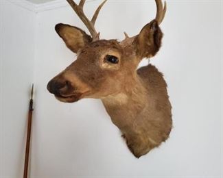 Deer Wallmount 