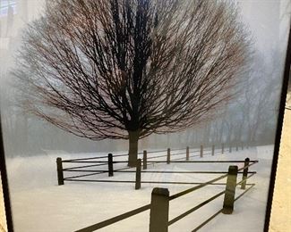 David winston framed print