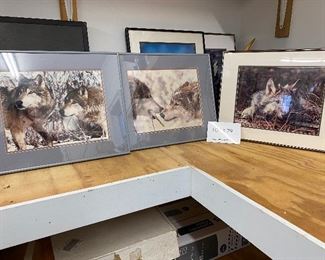 lot of wolf prints by coldwater creek