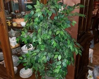 Approx 4 foot talk fake tree-$20
