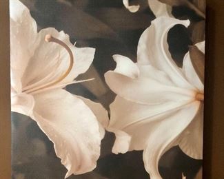 White flower picture $25.00 measuring 23.5 inches x 23.5 inches