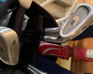 EV DCI Golf club set, includes drivers, covers and bag, $45 all