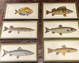 030m Ludwig Schmidt Fish Engravings