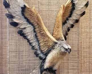 OSPREY or Fish Hawk ~ Handpainted ~ Fraser Art ~ 14 in. x 16 in. x 5 in. deep