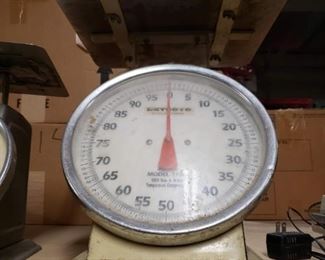 Detecto T100 Enamel Top Loading Scale with Fixed Dial-100 lb Capacity $85