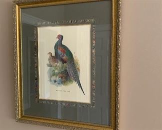 framed pheasant print  ==> $250