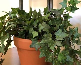 Ivy Silk Plants Set of 2 continued