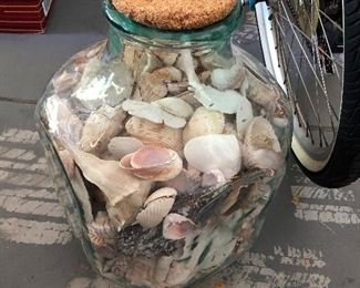 Large Jar of Shells  $30.00  -  18" x 13"
