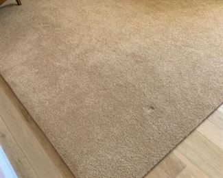 Beige rug. 90”w x 109”L.    Good rug.  $140