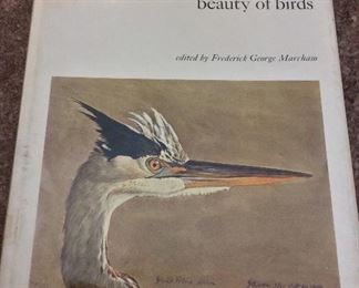 Louis Agassiz Fuertes & the singular beauty of birds, First Edition, 1971, Ex-Library, $5. 