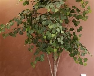 $15-Artificial foliage - close to 80" tall