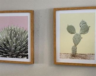 2pc Prickly Pear & Agave framed Prints 20x16in ea