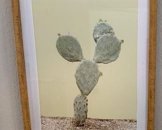 2pc Prickly Pear & Agave framed Prints 20x16in ea
