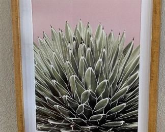 2pc Prickly Pear & Agave framed Prints 20x16in ea