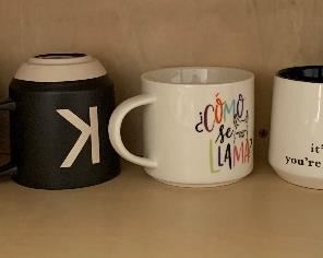 10pc Assorted Coffee Mugs