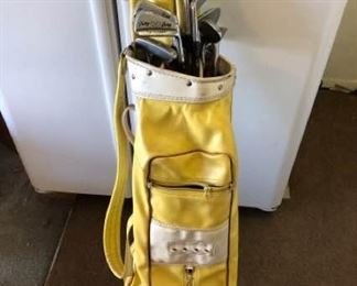 Womens Golf Clubs  Wilson and Ping Putter