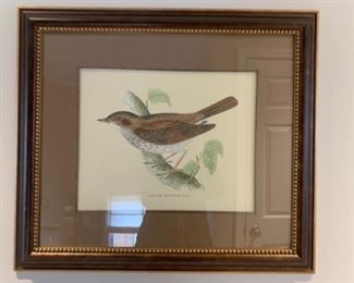 3 bird framed prints $250 each