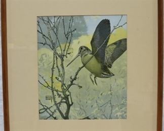 Woodcock bird  by Lynn Bogue Hunt