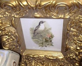 One of several framed bird prints
