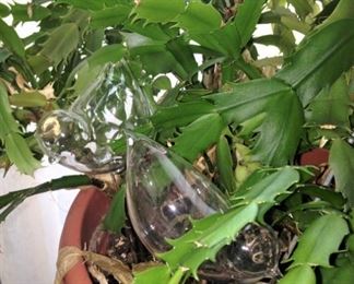 Glass "watering birds" (Put water in the birds and insert them in the soil.)