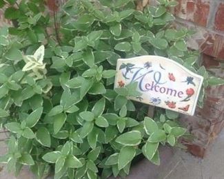  You know you are welcome to this Divide & Conquer sale!