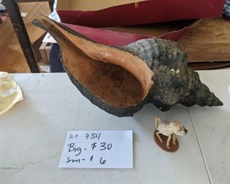 Big ole shell
Small shell figurine