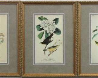 SET OF 3 ANTIQUE BIRDS BY JOHN AUDUBON