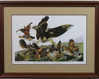 VIRGINIA PARTRIDGE BY JOHN AUDUBON