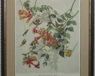 RUBY THROATED HUMMINGBIRDS BY JOHN AUDUBON