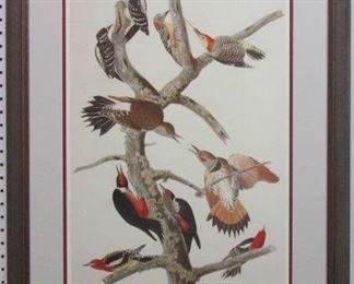 HAIRY WOODPECKER BY JOHN AUDUBON