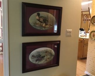 Duck framed photos