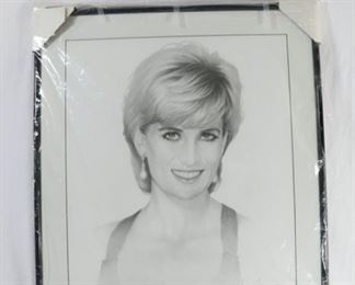 Now $5    Princess Diana signed print  25W x 28 1/2H                          sale price    $15!!!