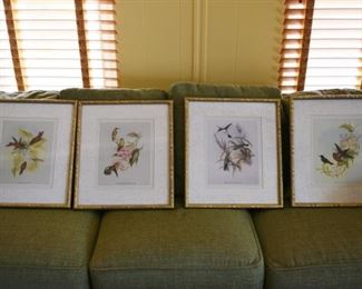 Set of 4 Framed “ Hummingbirds” Prints $38