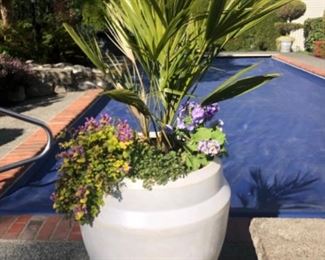 Plastic planter with metal base. 
Total height is 4 ft and 5” tall.
$100.