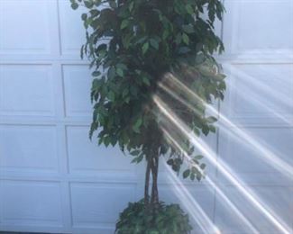 8’ silk tree $28.00
